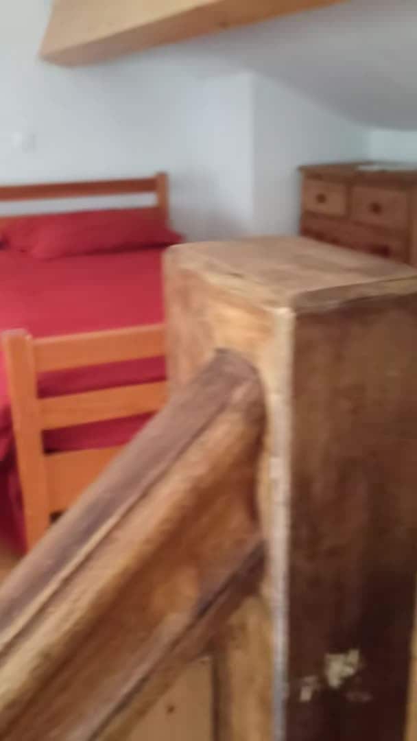 Video realizado por la propiedad