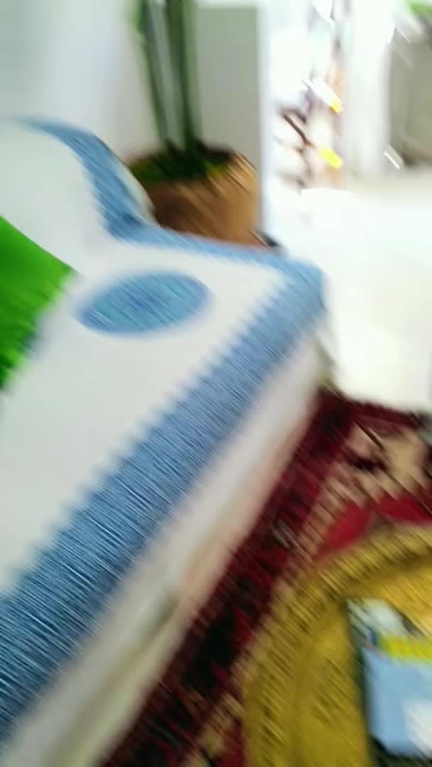 Property video