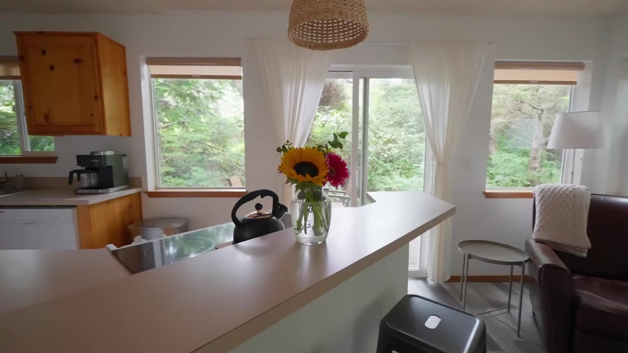 Property video