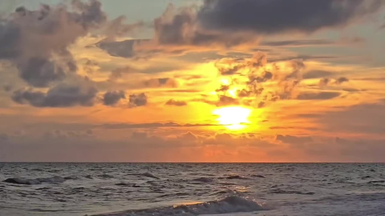 Video realizado por la propiedad
