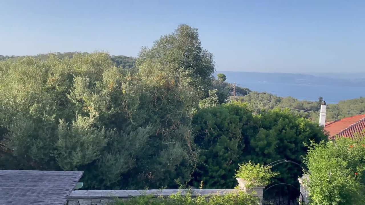 Property video