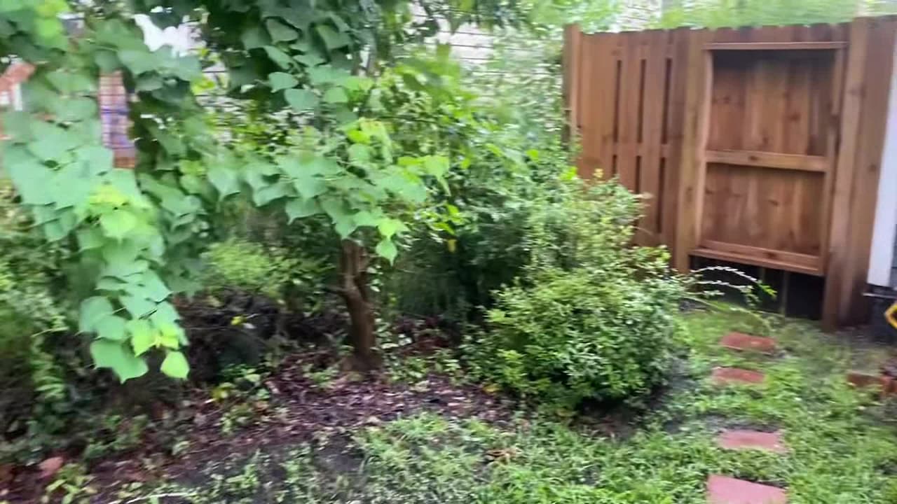Video der Unterkunft