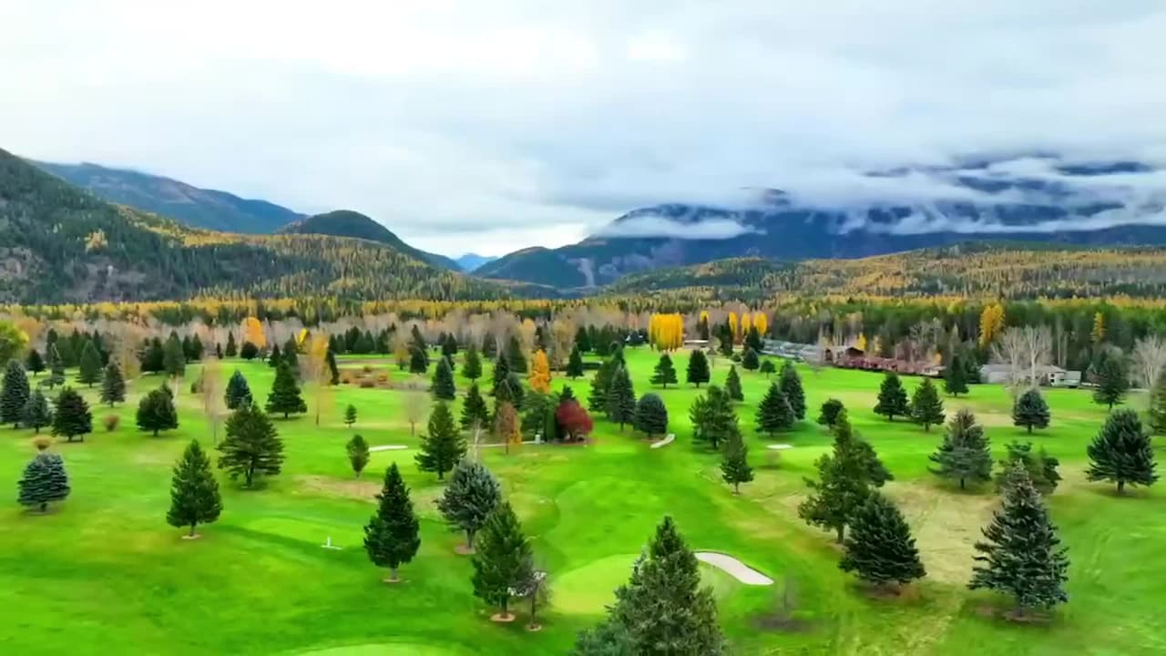 Property video
