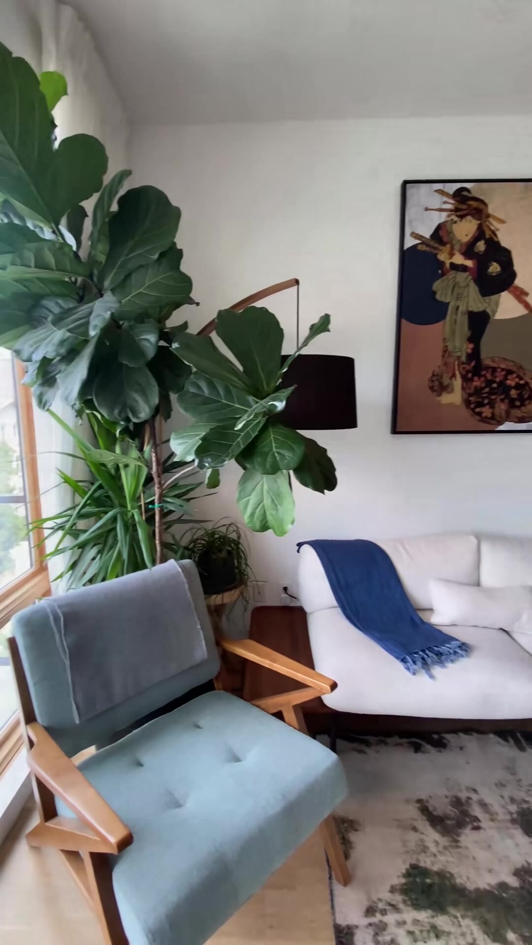 Property video