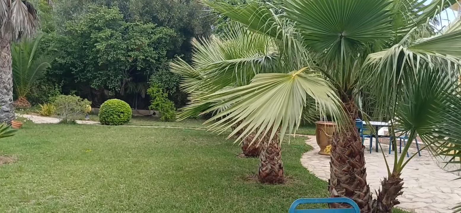 Property video