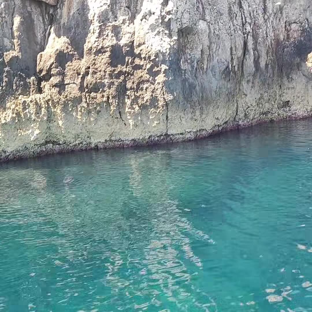 Video struttura
