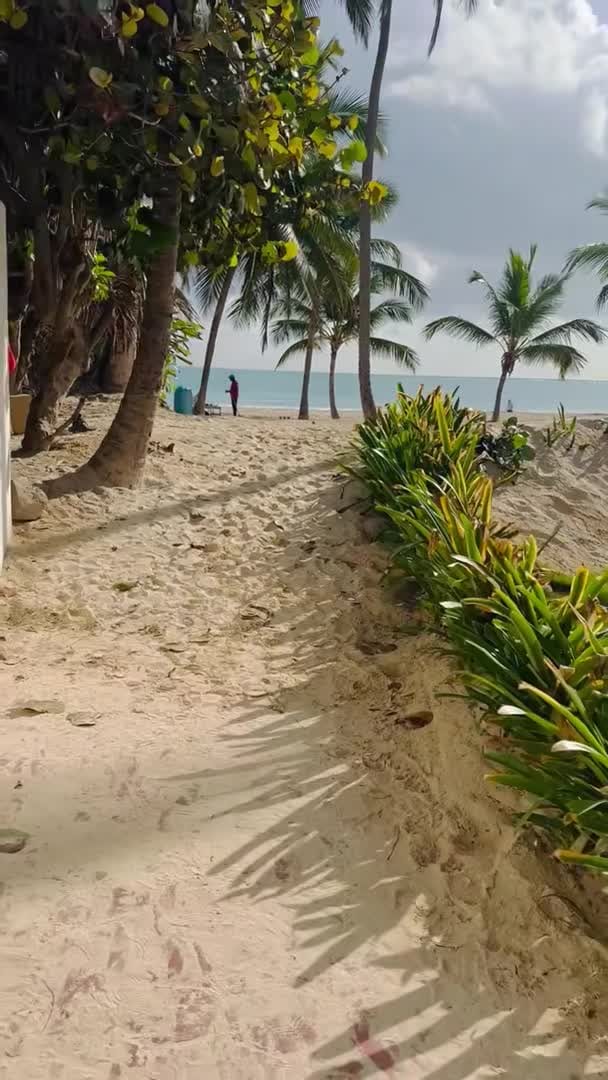 宿泊施設による動画