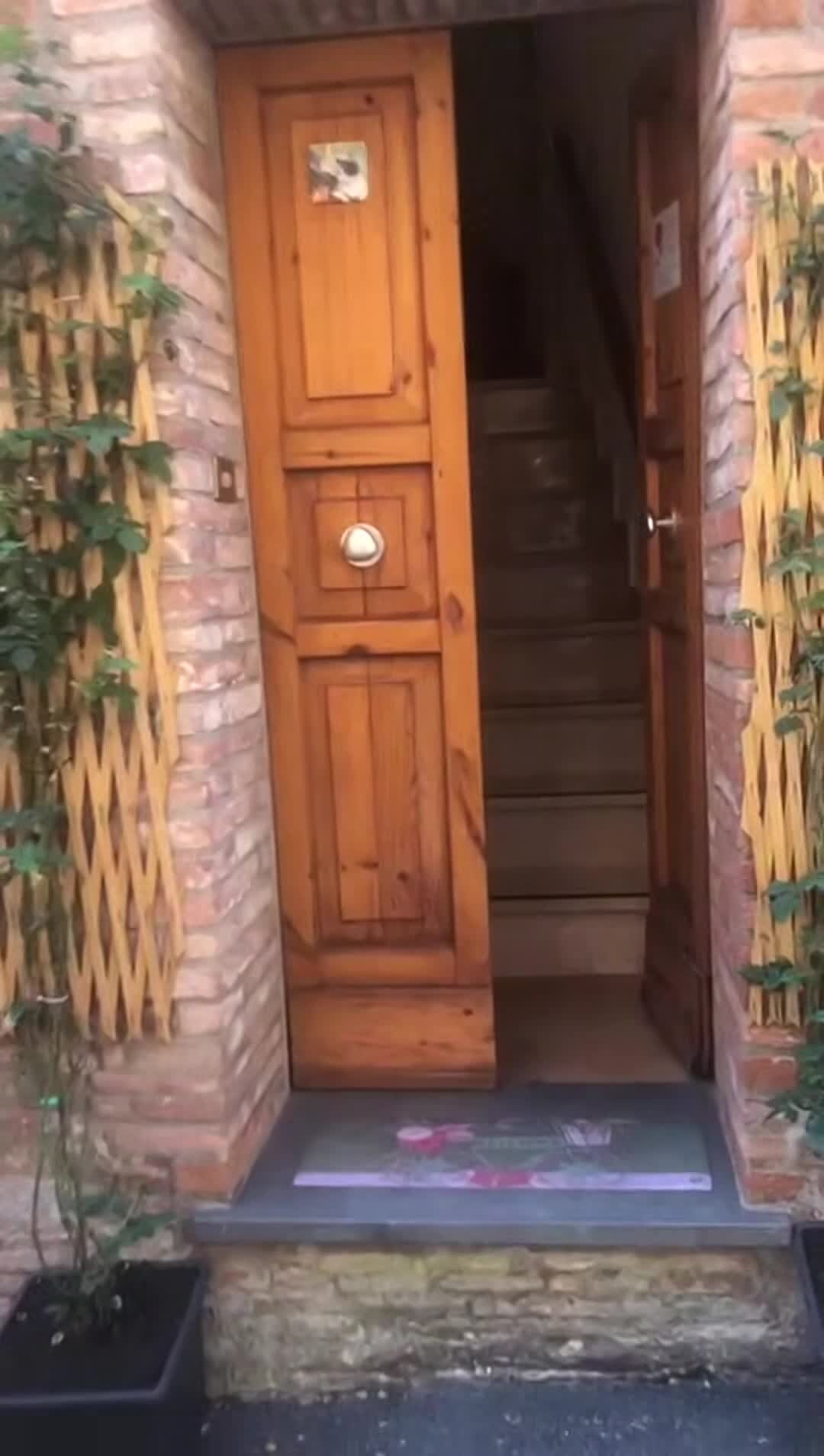 Property video