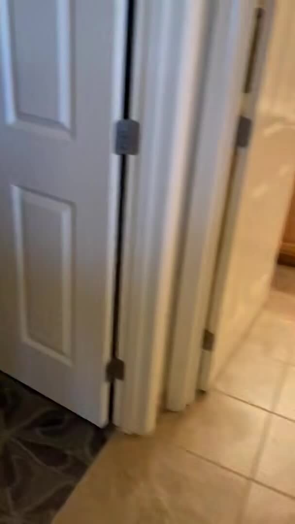 VidĂ©o de lâhĂ©bergement