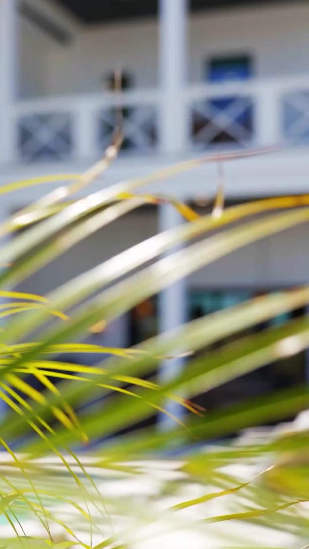 Video van accommodatie