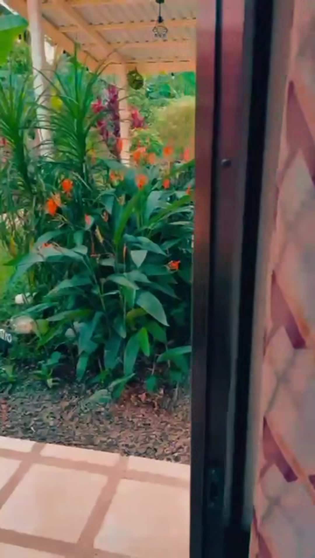 Video der Unterkunft