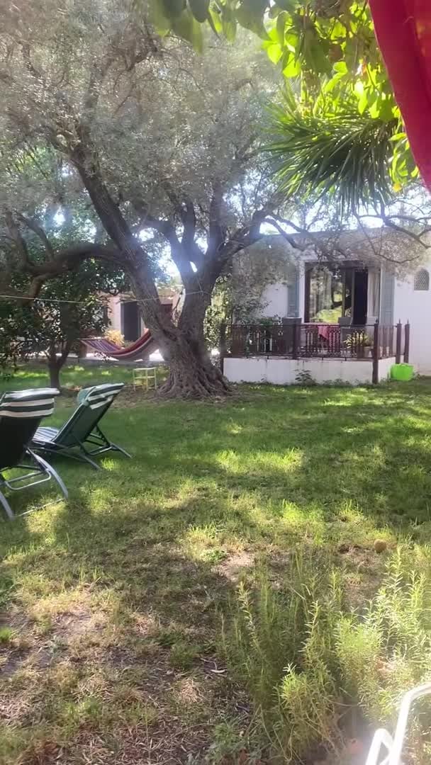Video realizado por la propiedad
