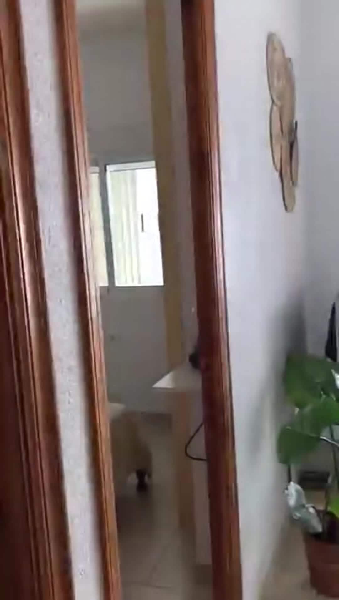 Vidéo de l’hébergement