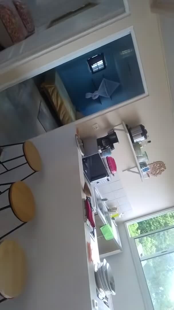 Property video