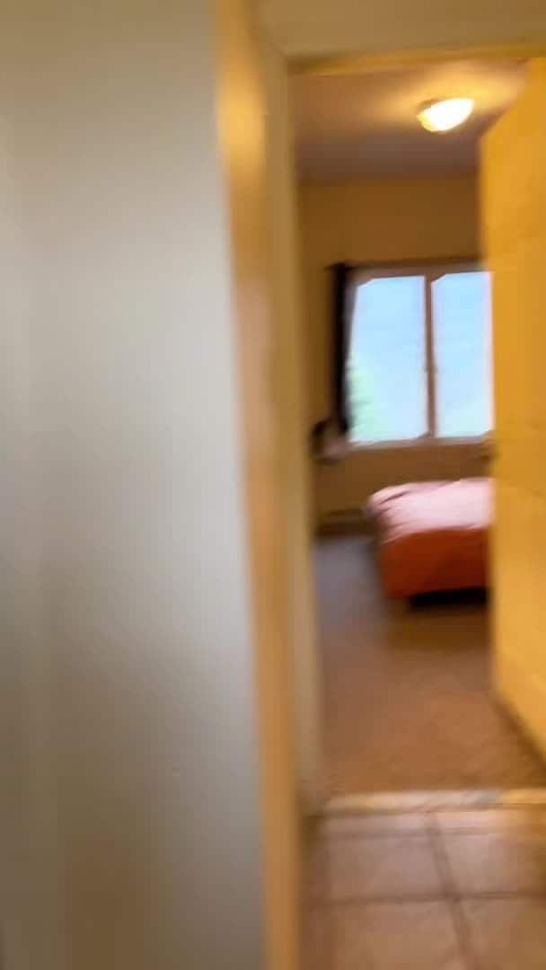 VidĂ©o de lâhĂ©bergement