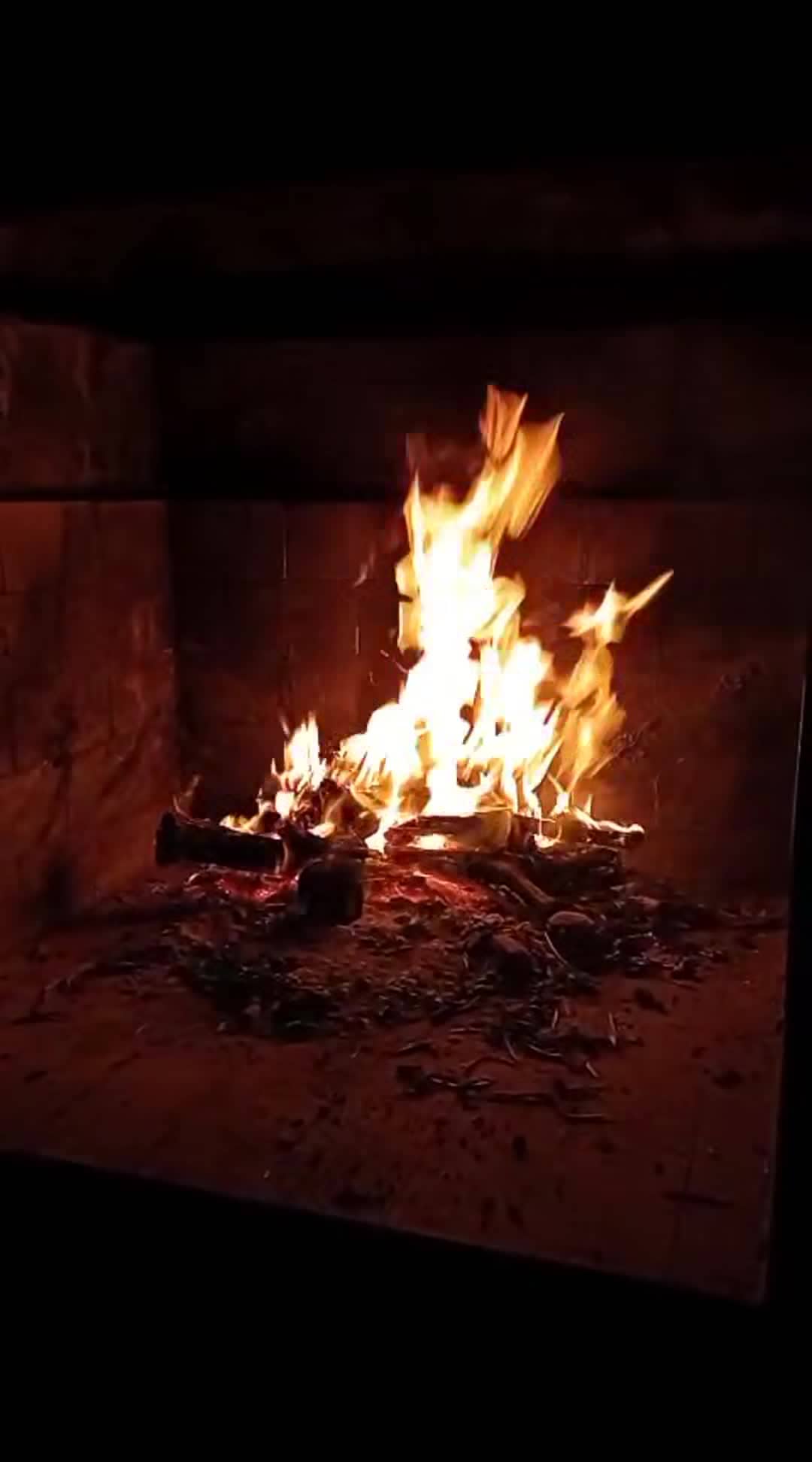 VidĂ©o de lâhĂ©bergement