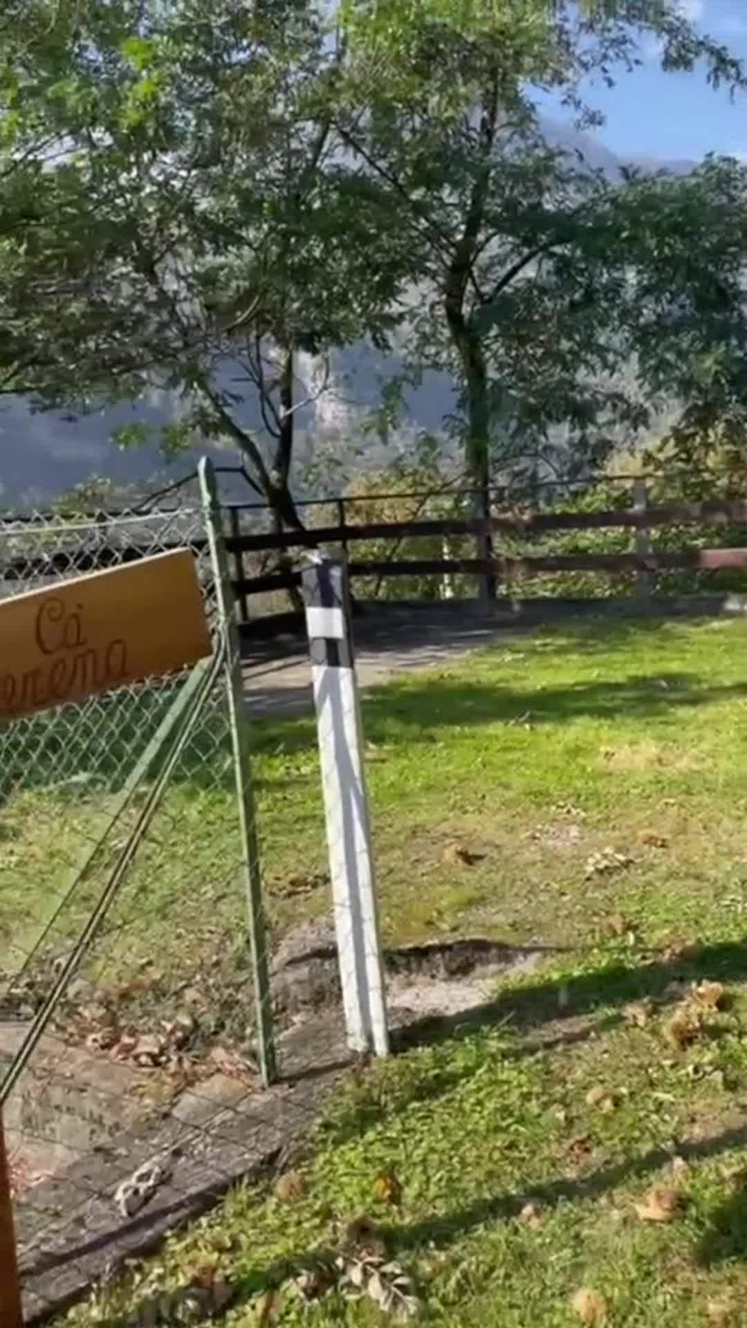 Vídeo fet per l’allotjament