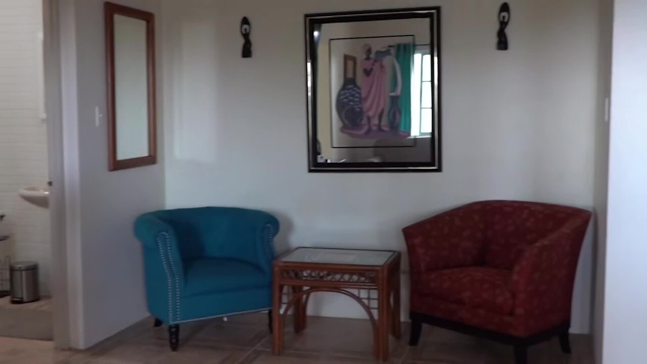 Property video