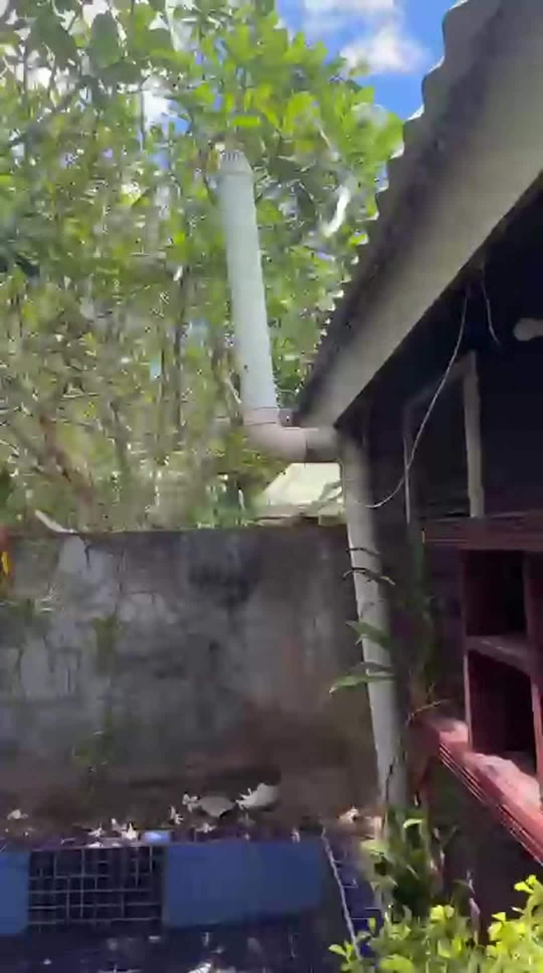 宿泊施設による動画