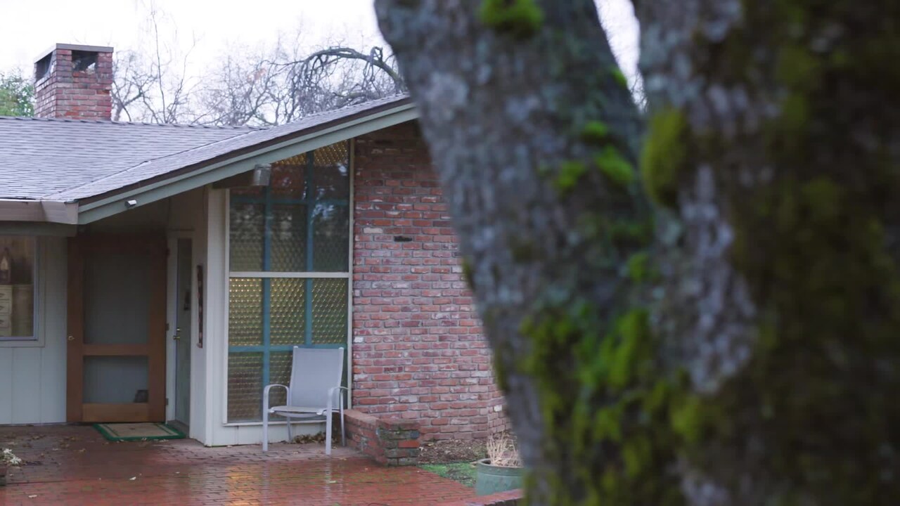 Video realizado por la propiedad