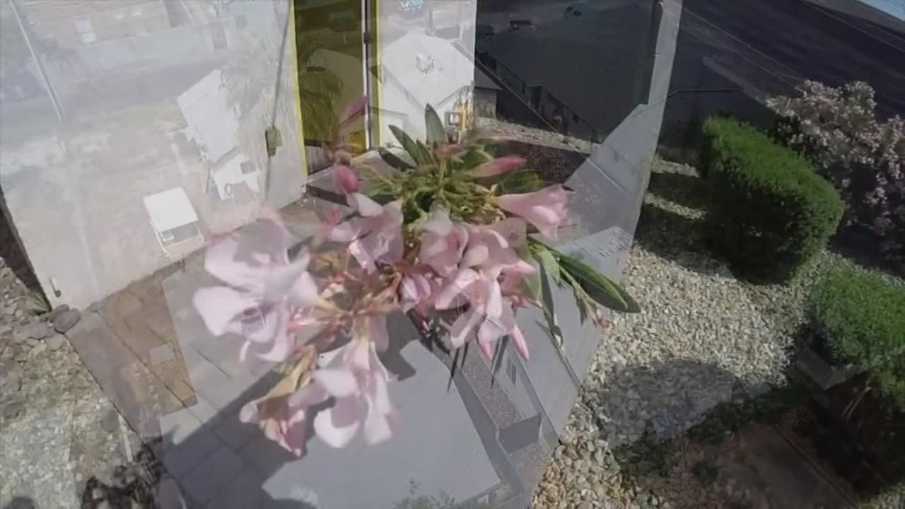 Vidéo de l’hébergement