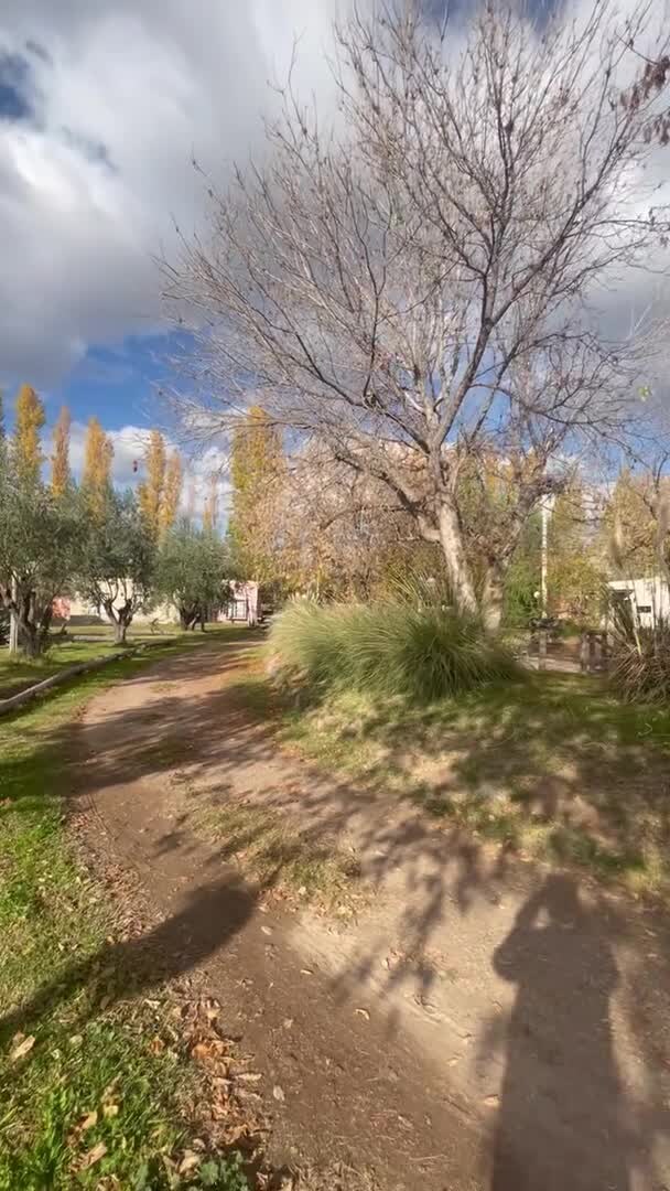 Video realizado por la propiedad