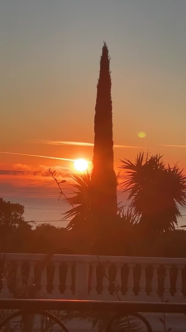 Video der Unterkunft