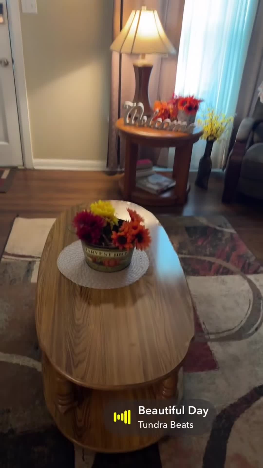 Property video