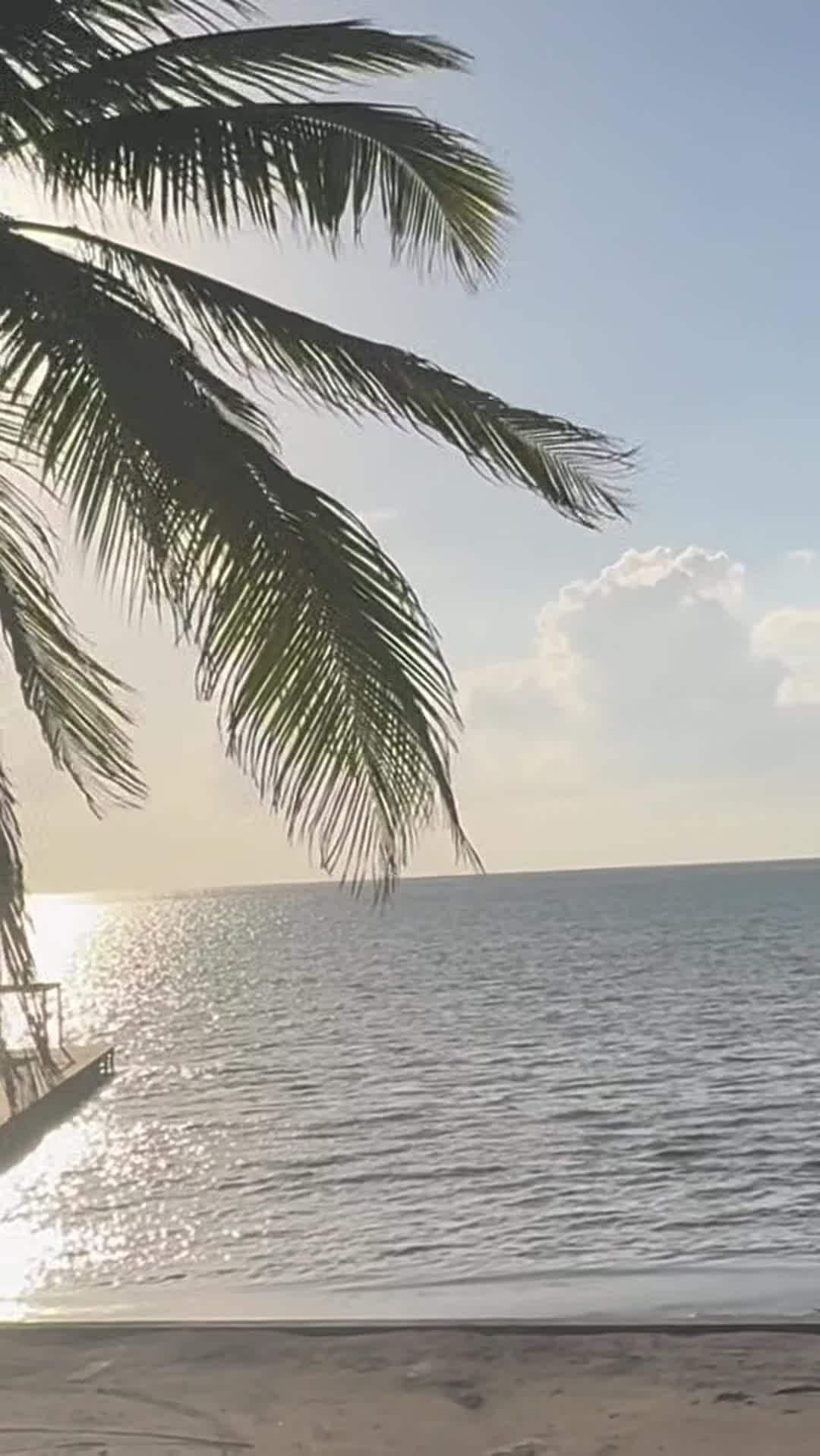 Majoituspaikan video