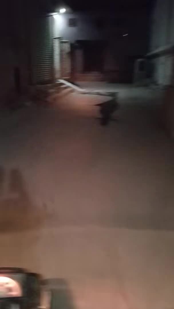 宿泊施設による動画