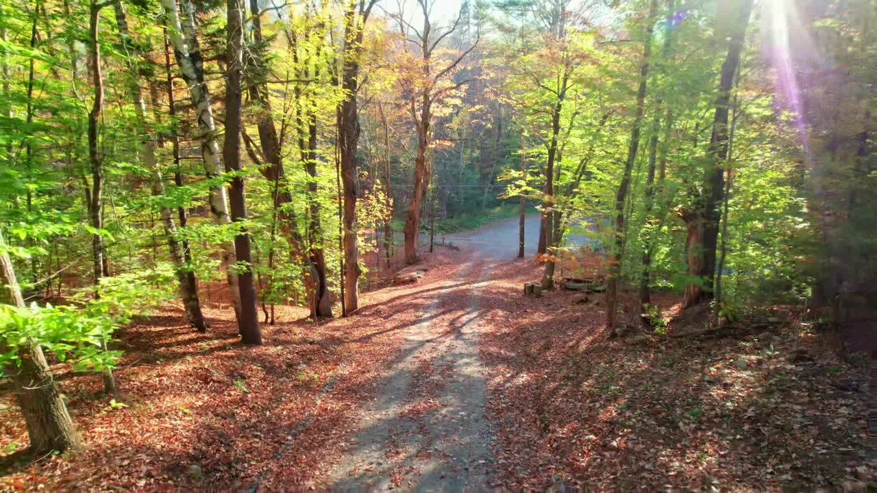 Video der Unterkunft