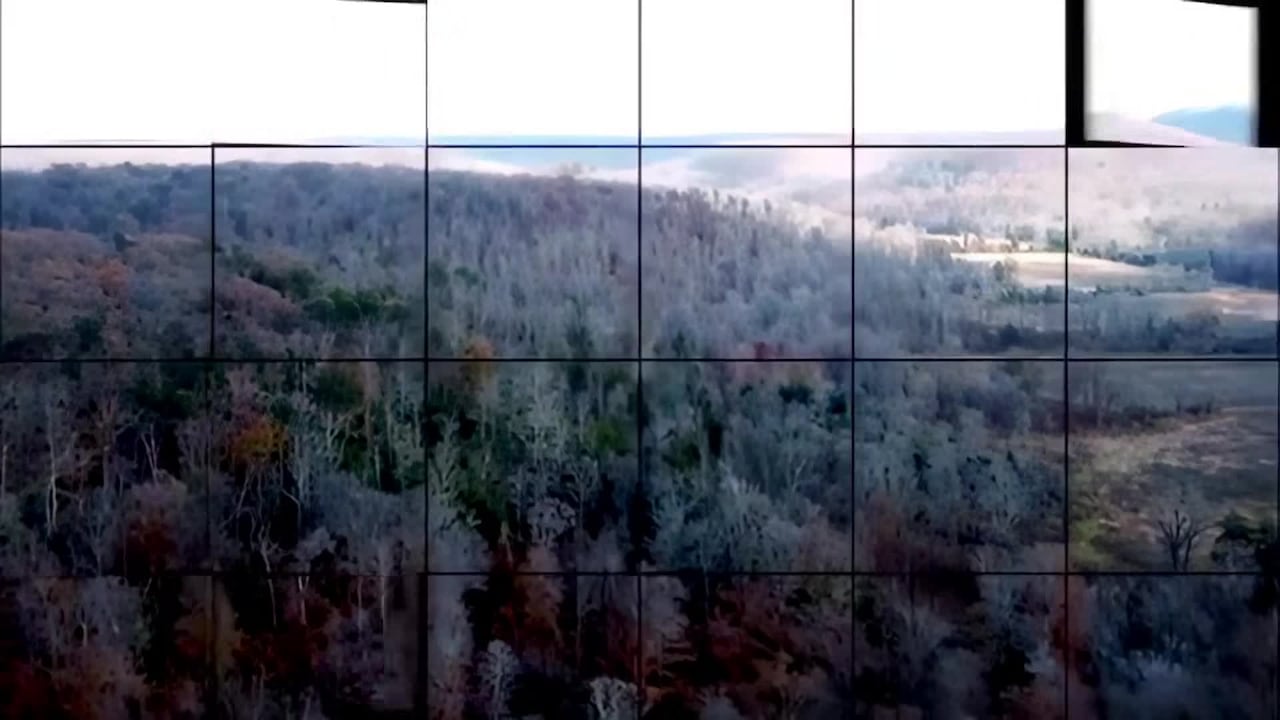 Property video