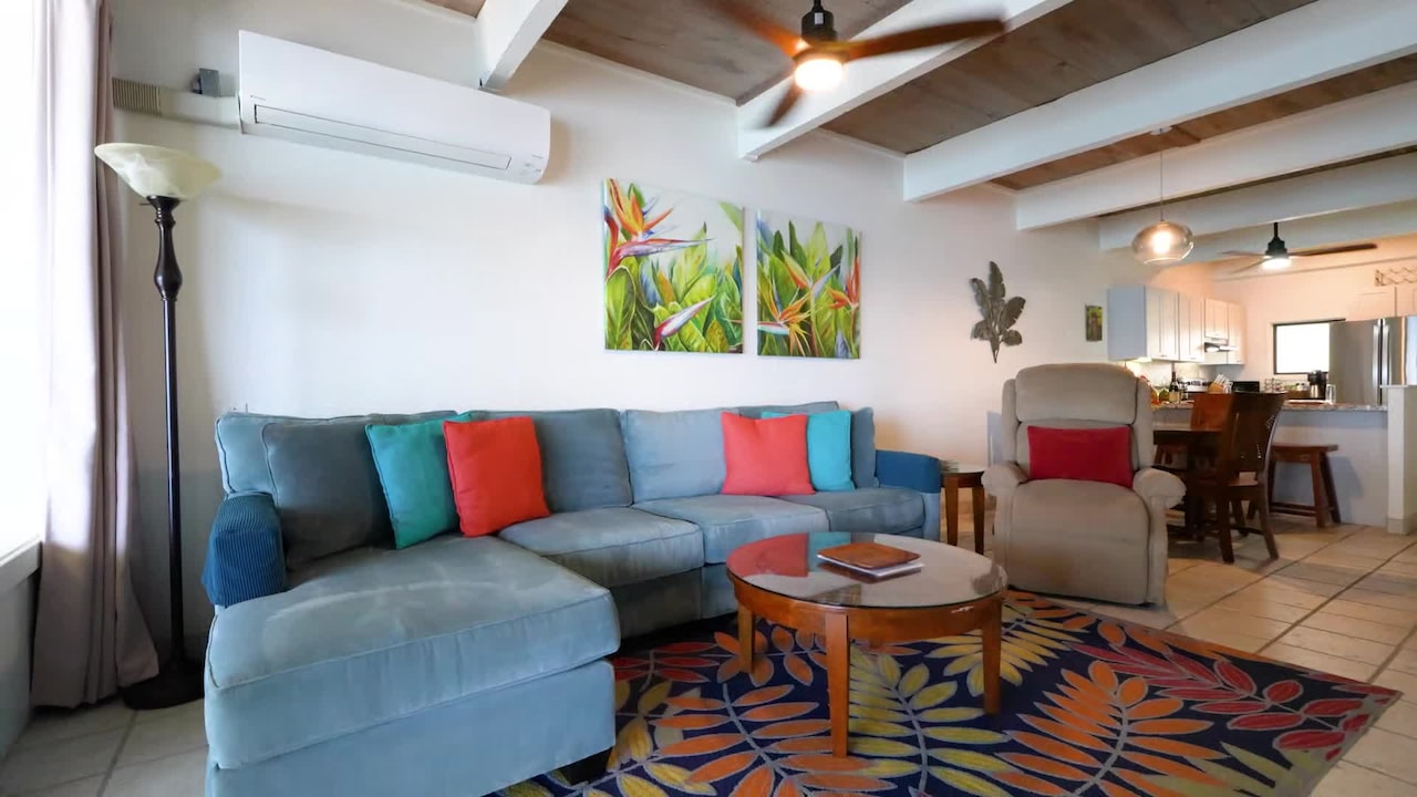 Property video