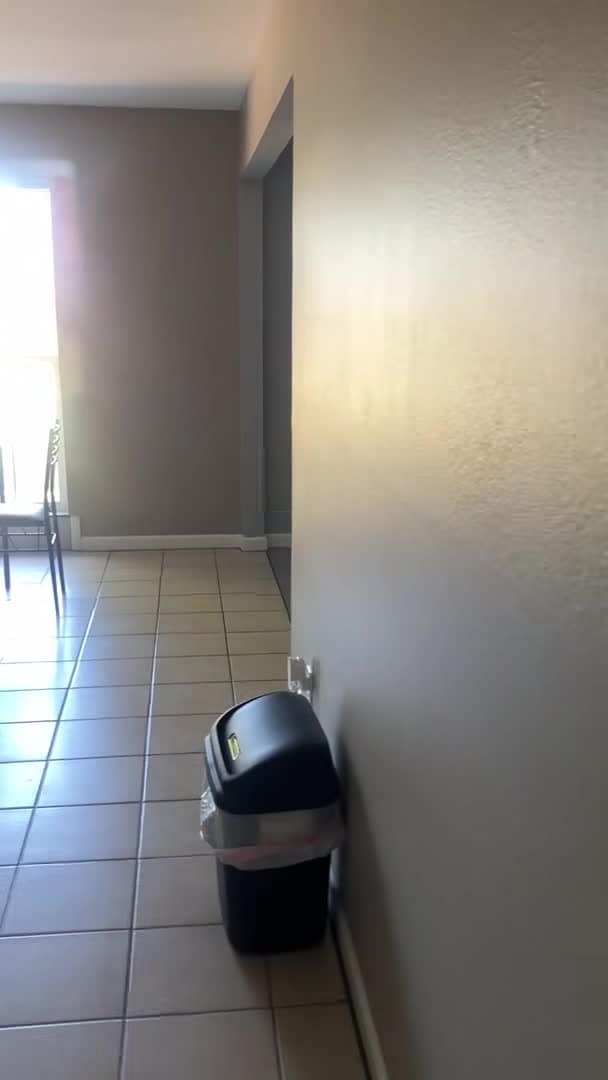 Vídeo da propriedade