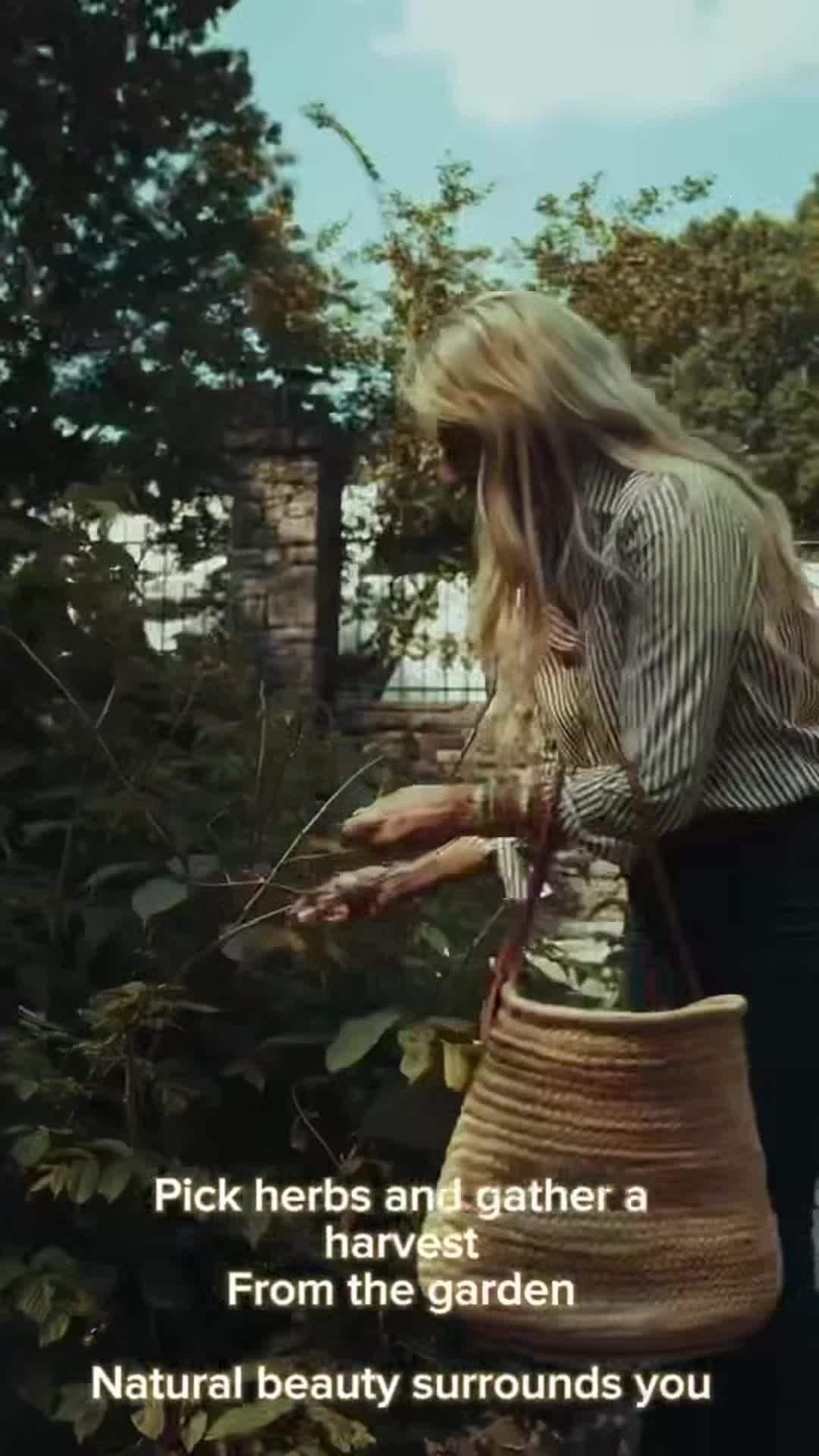 Property video