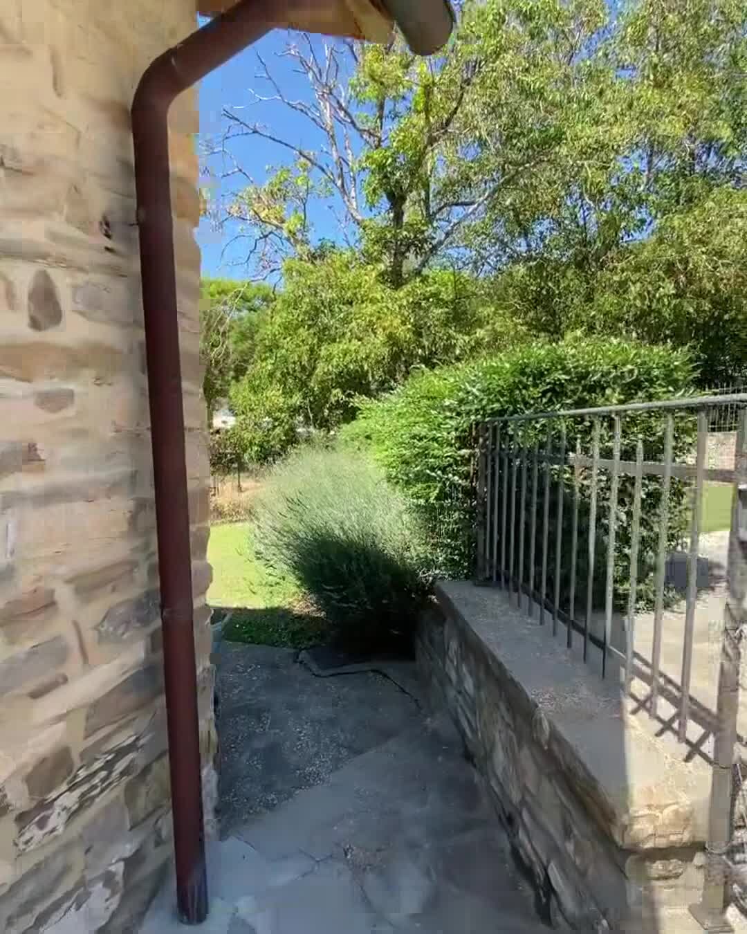 Vídeo da propriedade