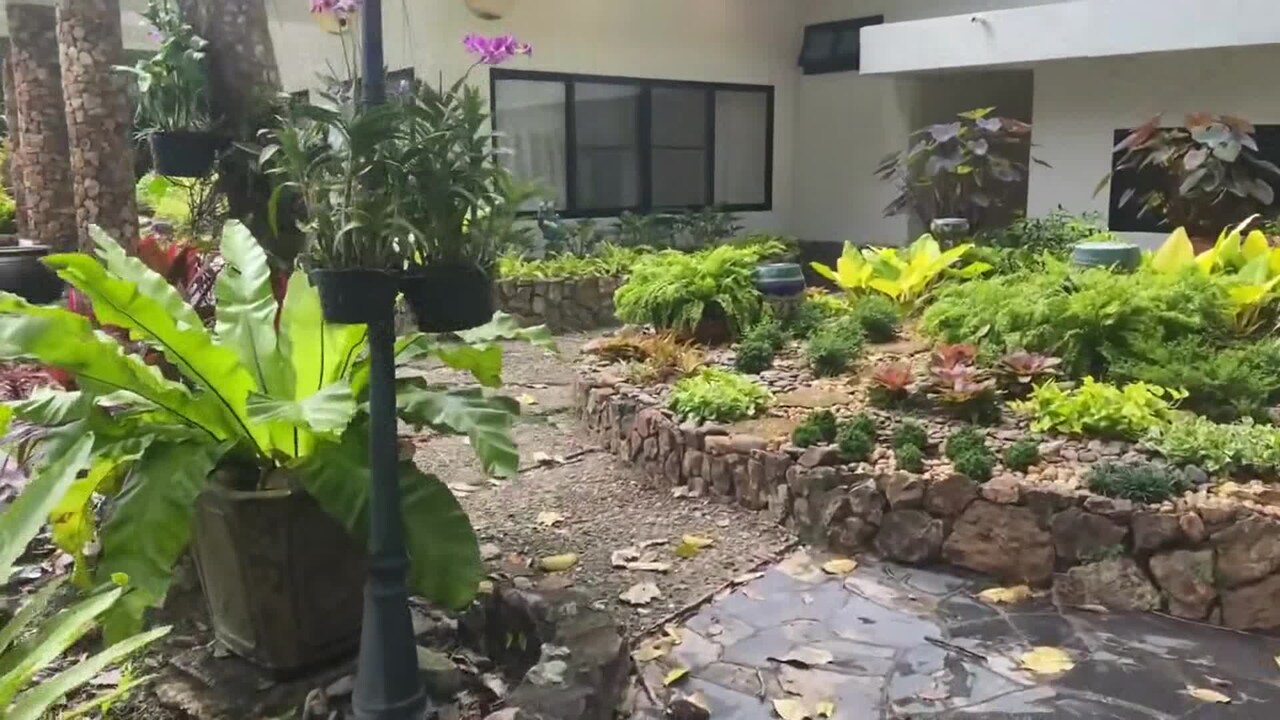 宿泊施設による動画