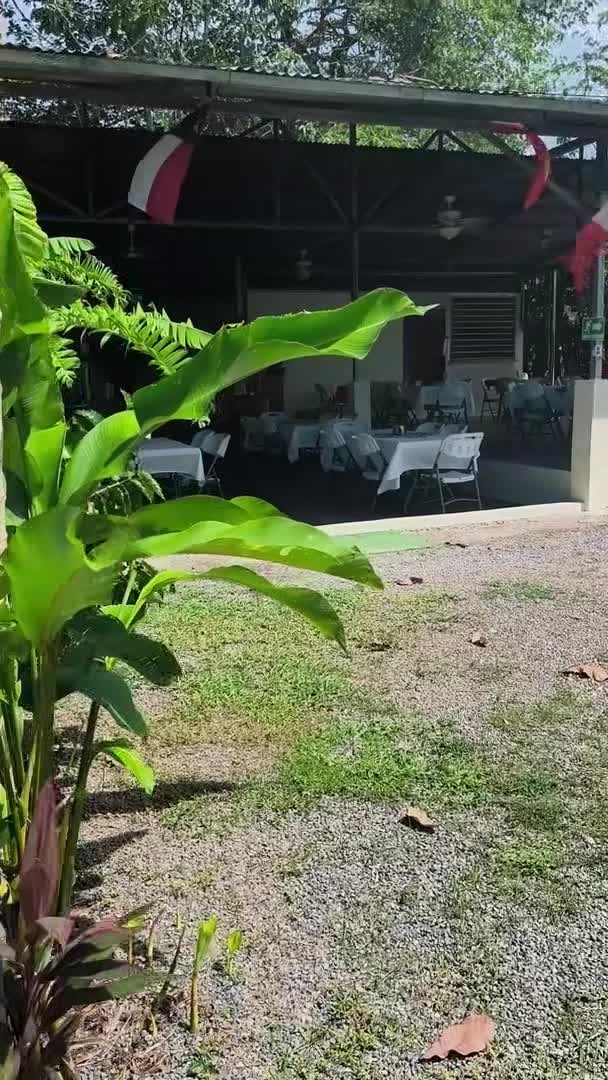 Video van accommodatie