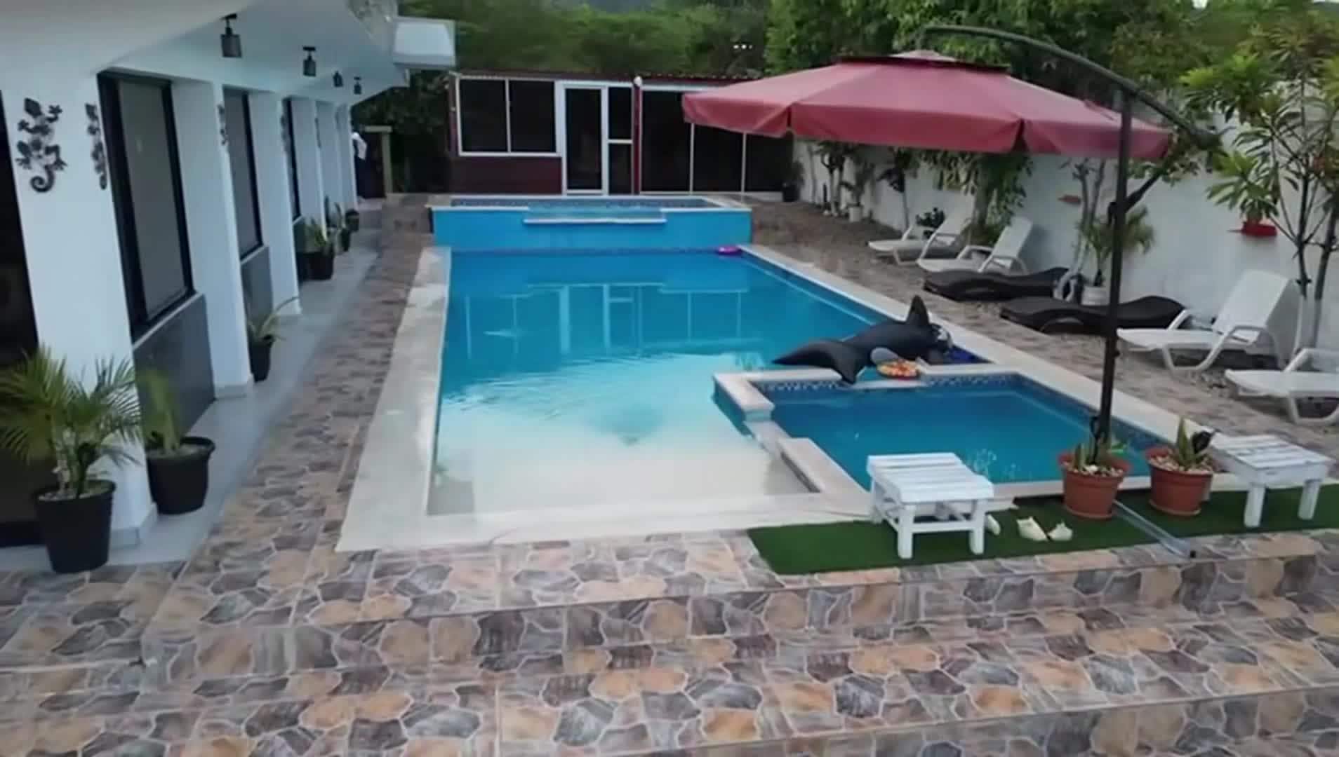 Video der Unterkunft