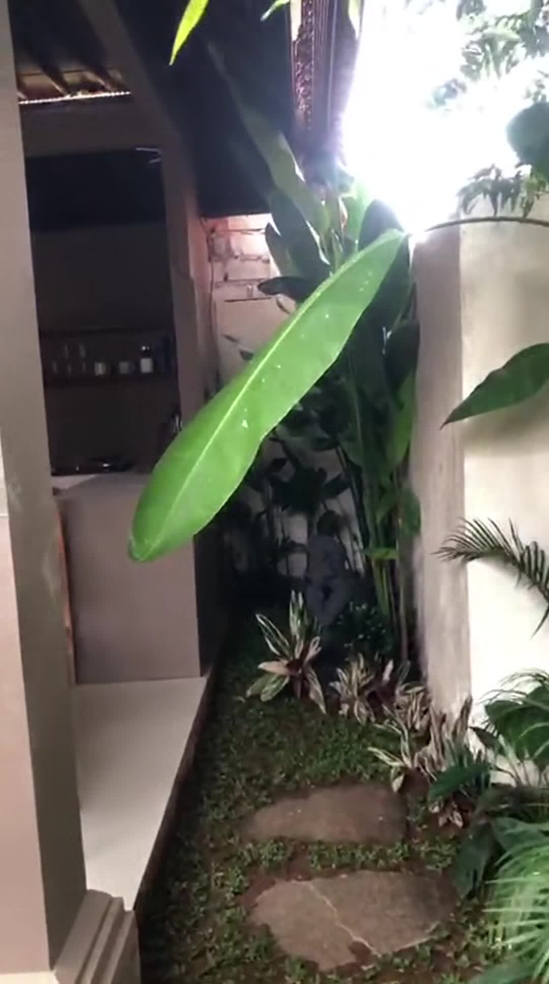 فيديو المنشأة الفندقية