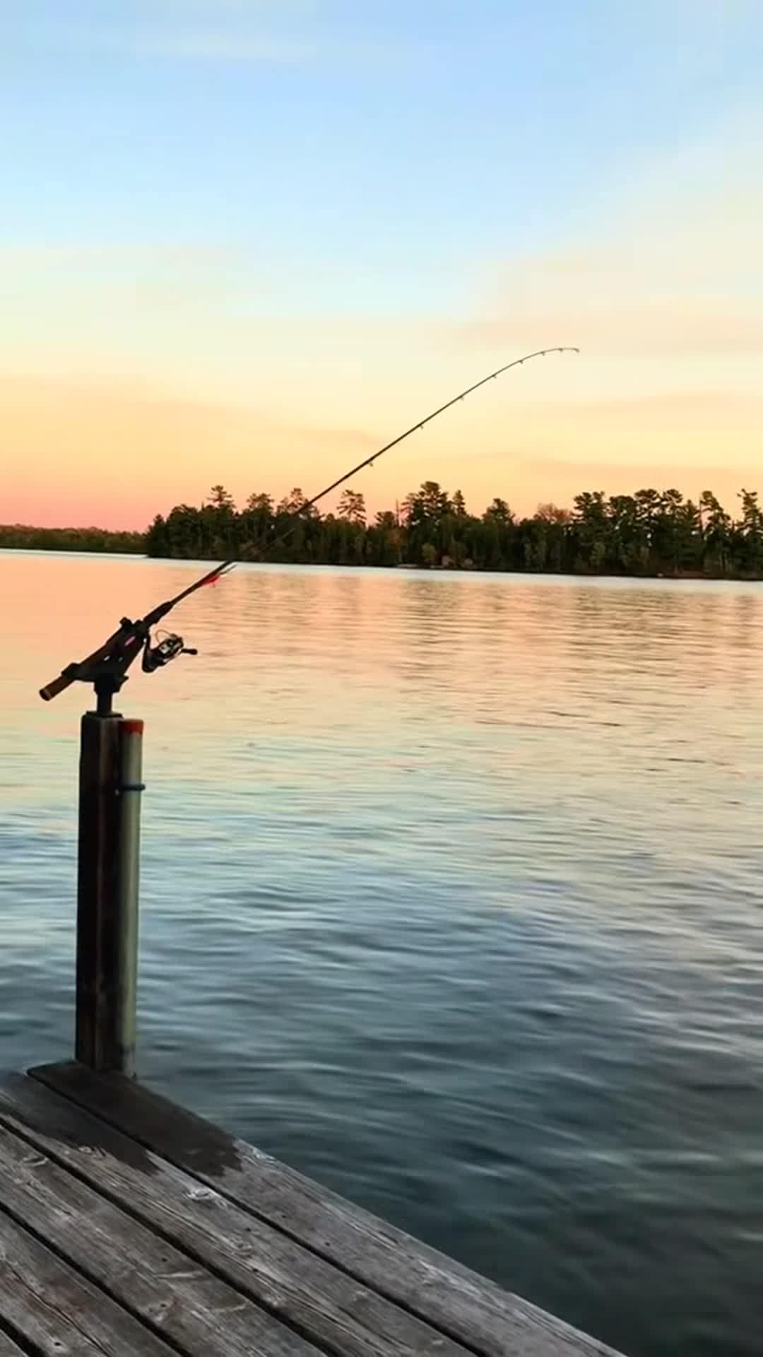 Video der Unterkunft