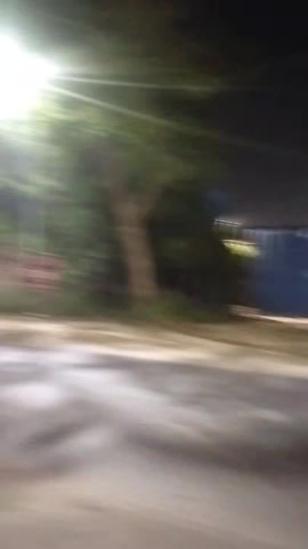 Video realizado por la propiedad