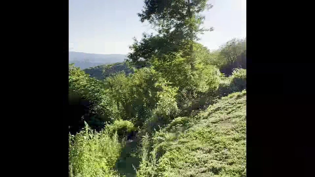 Property video