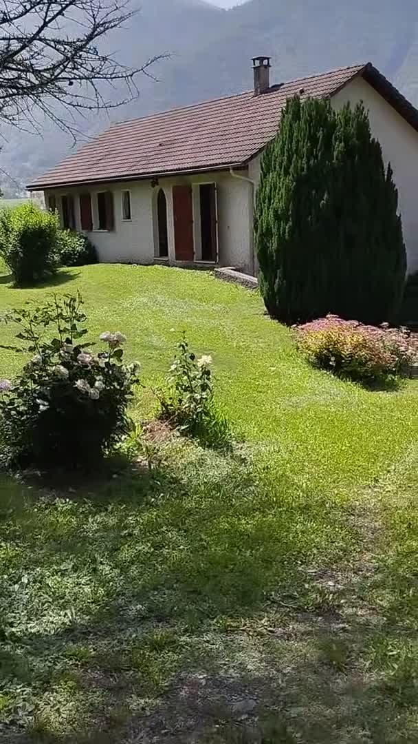 Property video