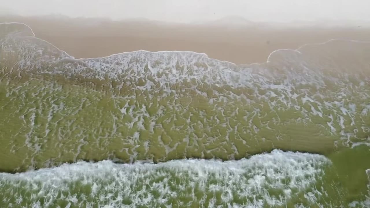 Video van accommodatie