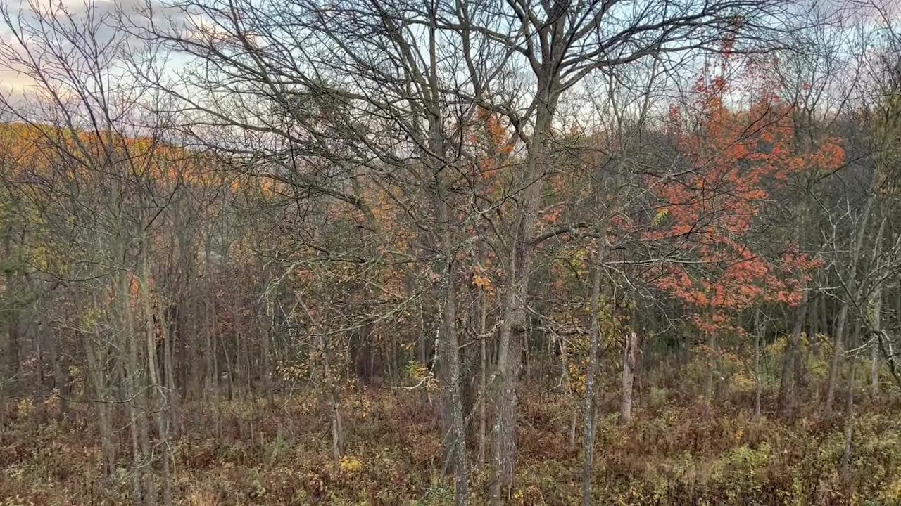 Property video