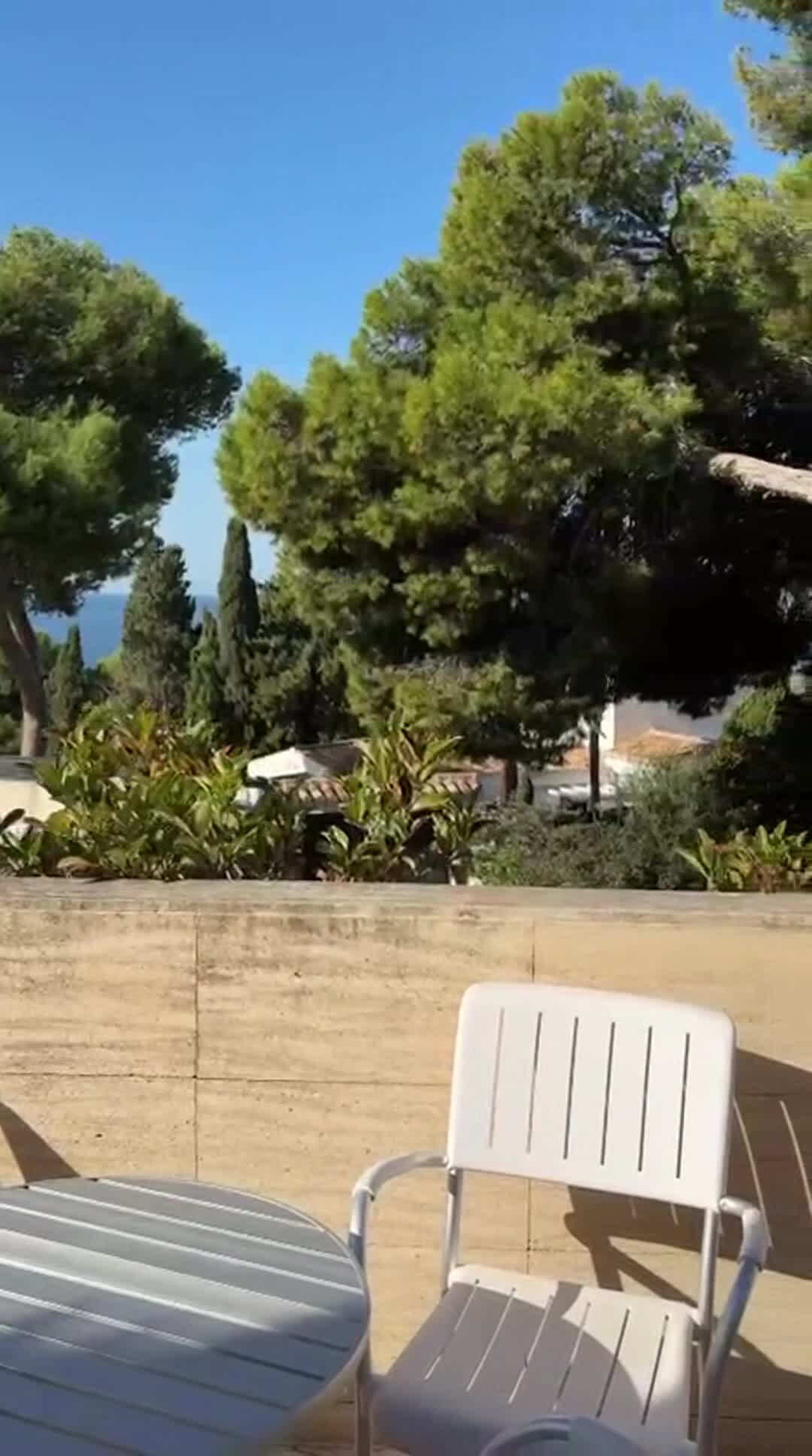 宿泊施設による動画