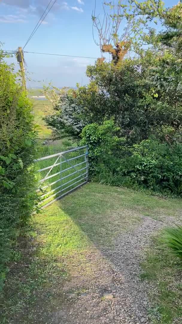 Property video