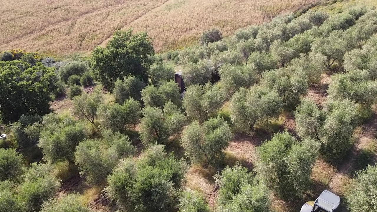 Property video