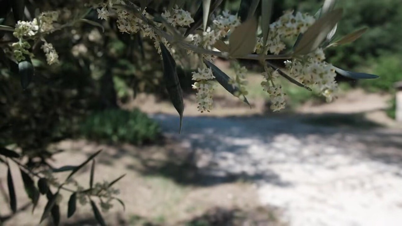 Vidéo de l’hébergement